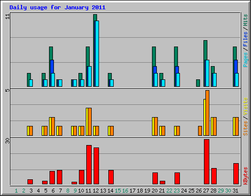 Daily usage for January 2011
