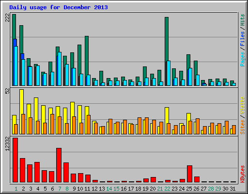 Daily usage for December 2013