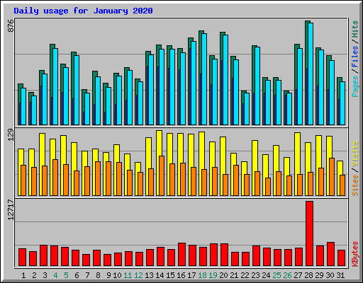 Daily usage for January 2020