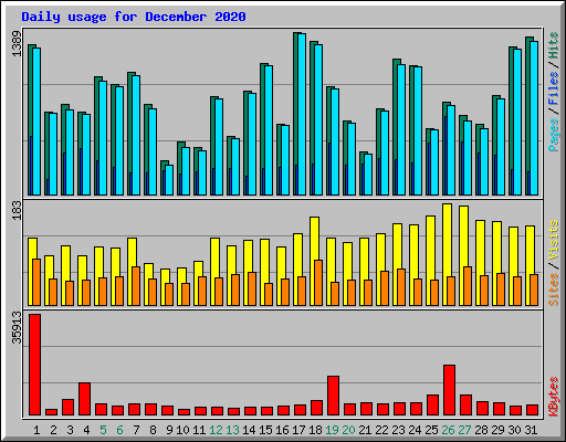 Daily usage for December 2020