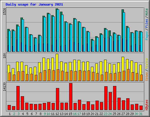 Daily usage for January 2021