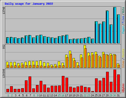 Daily usage for January 2022