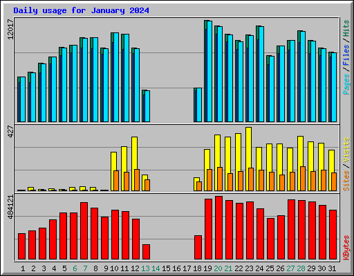 Daily usage for January 2024