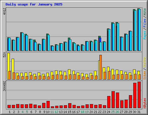 Daily usage for January 2025