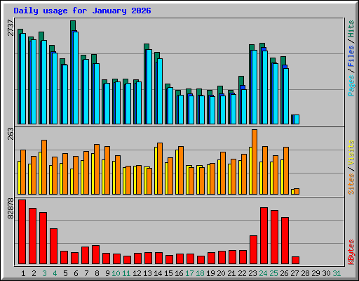 Daily usage for January 2026