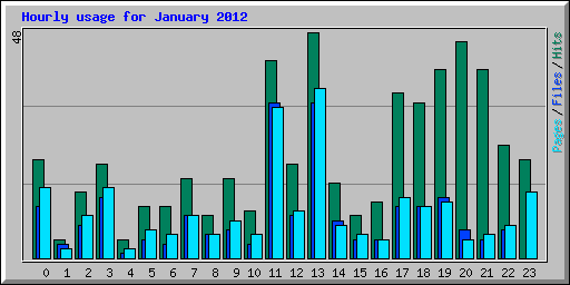 Hourly usage for January 2012