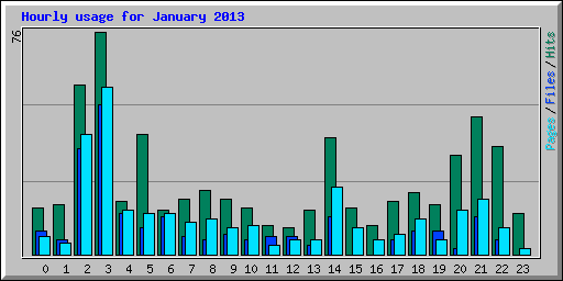 Hourly usage for January 2013