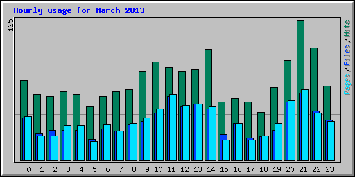 Hourly usage for March 2013