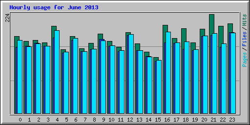 Hourly usage for June 2013