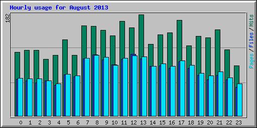 Hourly usage for August 2013