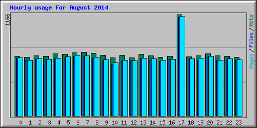 Hourly usage for August 2014