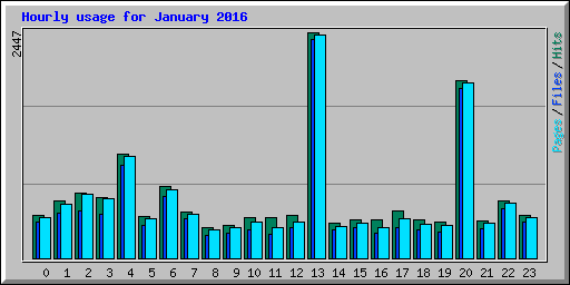 Hourly usage for January 2016