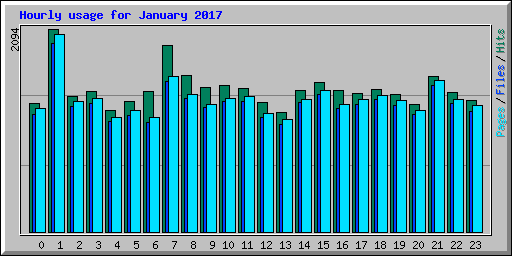 Hourly usage for January 2017