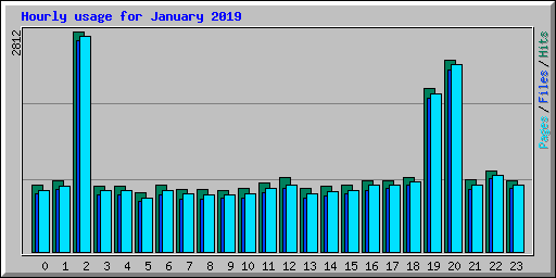 Hourly usage for January 2019