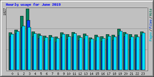 Hourly usage for June 2019