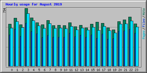 Hourly usage for August 2019