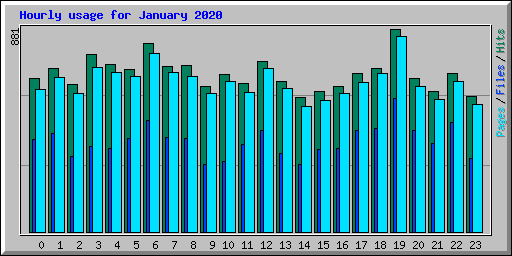 Hourly usage for January 2020