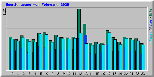 Hourly usage for February 2020
