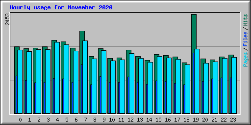 Hourly usage for November 2020