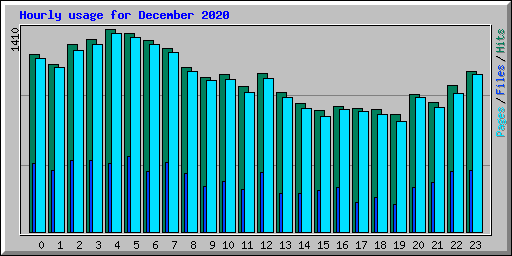 Hourly usage for December 2020