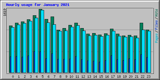 Hourly usage for January 2021