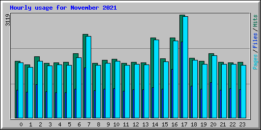 Hourly usage for November 2021