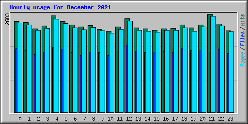 Hourly usage for December 2021