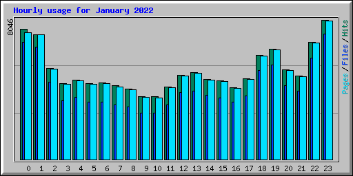 Hourly usage for January 2022