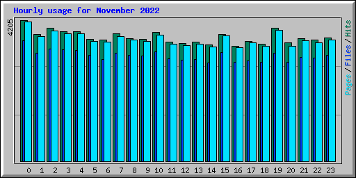 Hourly usage for November 2022