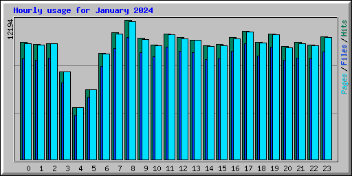 Hourly usage for January 2024