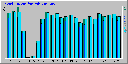 Hourly usage for February 2024
