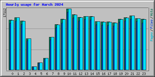 Hourly usage for March 2024