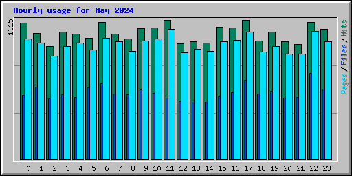 Hourly usage for May 2024