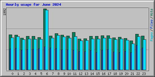 Hourly usage for June 2024