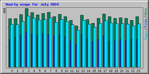 Hourly usage for July 2024