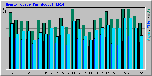 Hourly usage for August 2024