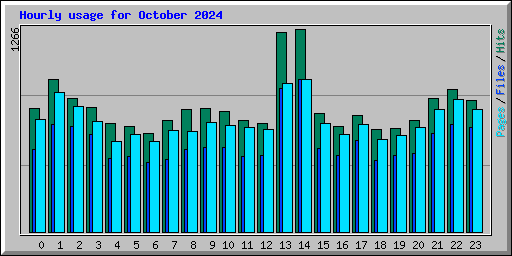 Hourly usage for October 2024