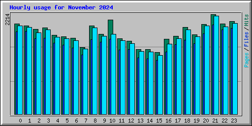 Hourly usage for November 2024
