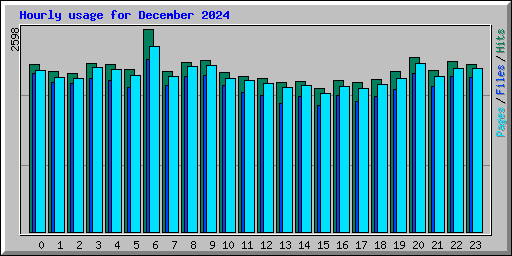 Hourly usage for December 2024