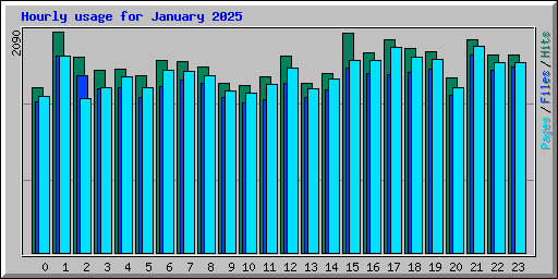 Hourly usage for January 2025