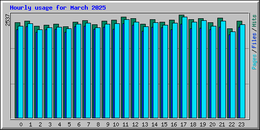 Hourly usage for March 2025