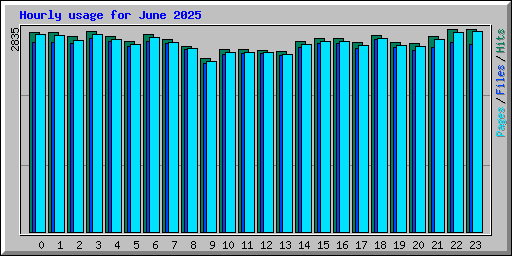 Hourly usage for June 2025