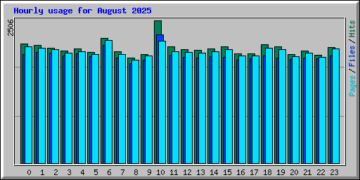 Hourly usage for August 2025