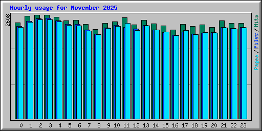 Hourly usage for November 2025