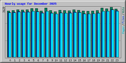 Hourly usage for December 2025