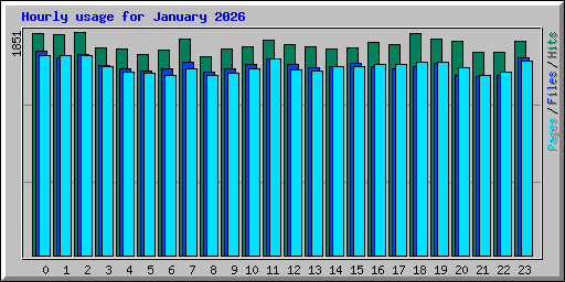 Hourly usage for January 2026