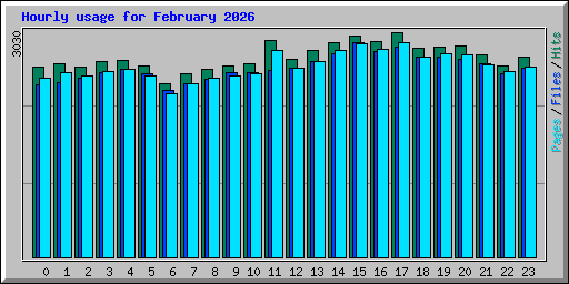 Hourly usage for February 2026